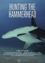 Watch Hunting the Hammerhead Zmovies