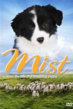 Watch Mist: The Tale of a Sheepdog Puppy Zmovies