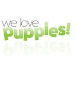 Watch We Love Puppies Zmovies