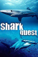 Watch Shark Quest Zmovies