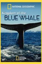 Watch National Geographic Kingdom of Blue Whale Zmovies