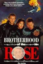 Watch Brotherhood of the Rose Zmovies
