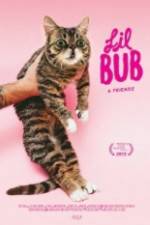 Watch Lil Bub & Friendz Zmovies