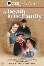 Watch A Death in the Family Zmovies
