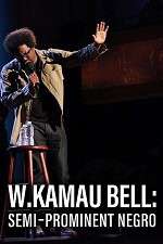 Watch W. Kamau Bell: Semi-Promenint Negro Zmovies