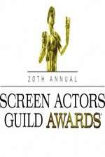 Watch The 20th Annual Screen Actors Guild Awards Zmovies