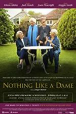 Watch Nothing Like a Dame Zmovies