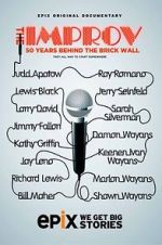 Watch The Improv: 50 Years Behind the Brick Wall (TV Special 2013) Zmovies