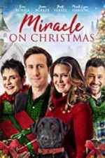 Watch Miracle on Christmas Zmovies