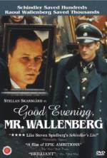Watch Good Evening, Mr. Wallenberg Zmovies