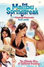 Watch Malibu Spring Break Zmovies