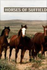 Watch Horses of Suffield Zmovies