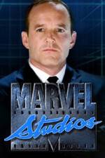 Watch Marvel One-Shot The Consultant Zmovies