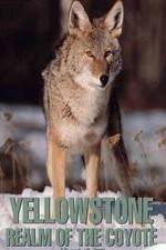 Watch Yellowstone: Realm of the Coyote Zmovies