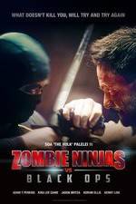 Watch Zombie Ninjas vs Black Ops Zmovies