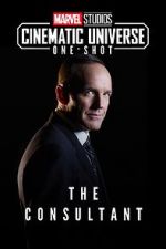 Watch Marvel One-Shot: The Consultant Zmovies