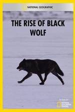 Watch The Rise of Black Wolf Zmovies