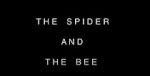 Watch The Spider and the Bee Zmovies