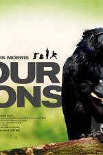 Watch Four Lions Zmovies
