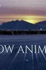Watch Snow Animals Zmovies
