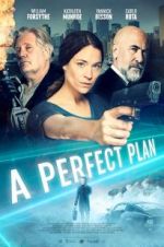 Watch A Perfect Plan Zmovies