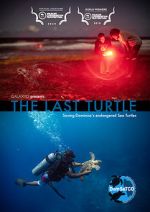 Watch The Last Turtle (Short 2019) Zmovies