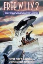 Watch Free Willy 2 The Adventure Home Zmovies