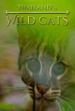 Watch Thailand's Wild Cats Zmovies