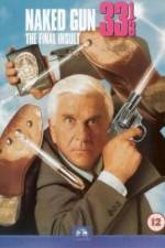 Watch Naked Gun 33 1/3: The Final Insult Zmovies
