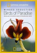 Watch Winged Seduction: Birds of Paradise Zmovies