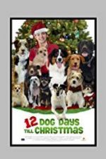 Watch 12 Dog Days Till Christmas Zmovies