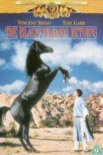 Watch The Black Stallion Returns Zmovies