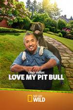 Watch Cesar Millan: Love My Pit Bull Zmovies