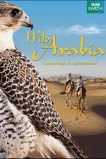 Watch Wild Arabia Zmovies