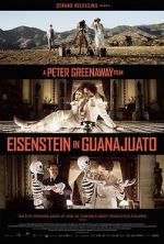 Watch Eisenstein in Guanajuato Zmovies