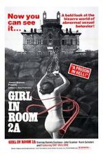 Watch The Girl in Room 2A Zmovies