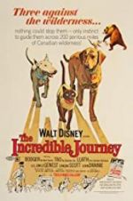Watch The Incredible Journey Zmovies