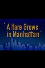 Watch A Hare Grows in Manhattan Zmovies