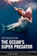 Watch The Search for the Oceans Super Predator Zmovies