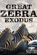 Watch Nature: Great Zebra Exodus Zmovies