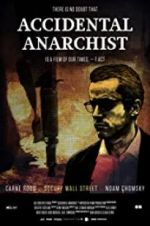 Watch Accidental Anarchist Zmovies