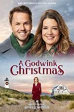Watch A Godwink Christmas Zmovies