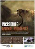 Watch Incredible Animal Moments Zmovies