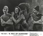 Watch A Ray of Sunshine: An Irresponsible Medley of Song and Dance Zmovies