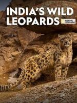 Watch India\'s Wild Leopards (Short 2020) Zmovies