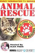 Watch Animal Rescue, Volume 2: Best Cat Rescues Zmovies