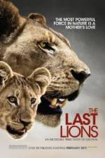 Watch The Last Lions Zmovies