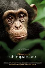 Watch Chimpanzee Zmovies