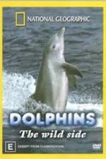 Watch Dolphins: The Wild Side Zmovies