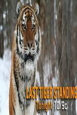 Watch Discovery Channel-Last Tiger Standing Zmovies